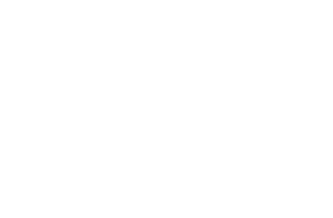 FSB Member Logo White